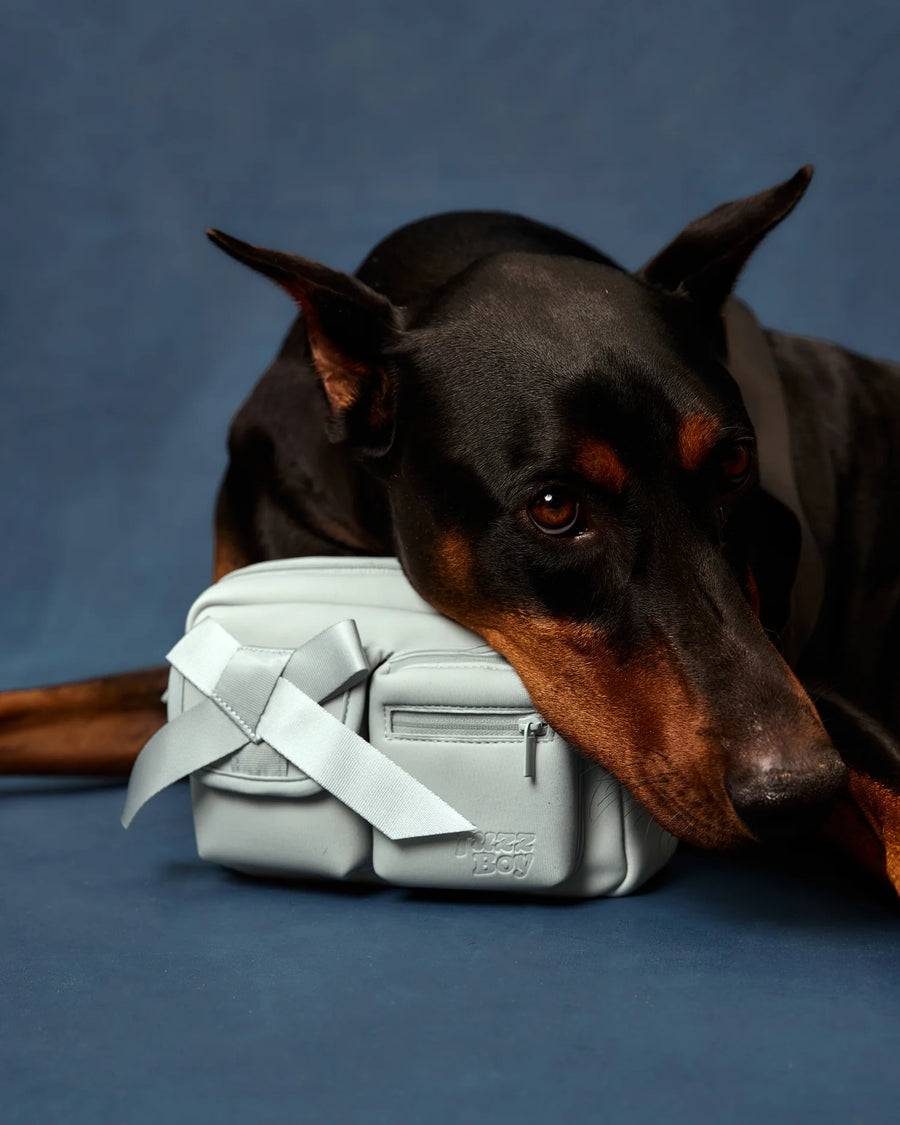 Walking Bag