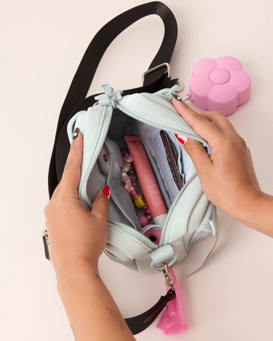 Walking Bag