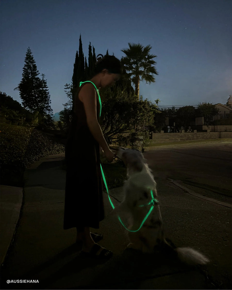 4-in-1 Convertible Hands Free Cloud Dog Leash