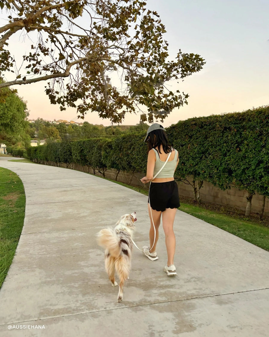 4-in-1 Convertible Hands Free Cloud Dog Leash
