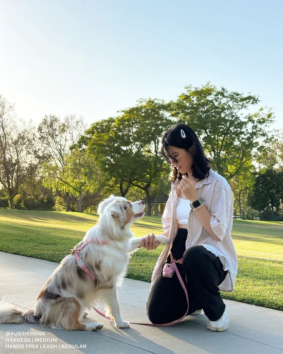 4-in-1 Convertible Hands Free Cloud Dog Leash
