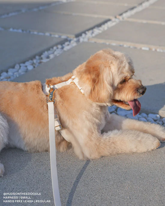 Waterproof Cloud Leash