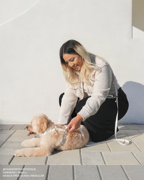 4-in-1 Convertible Hands Free Cloud Dog Leash