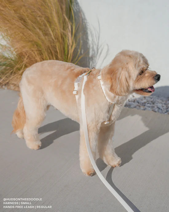 Waterproof Cloud Leash