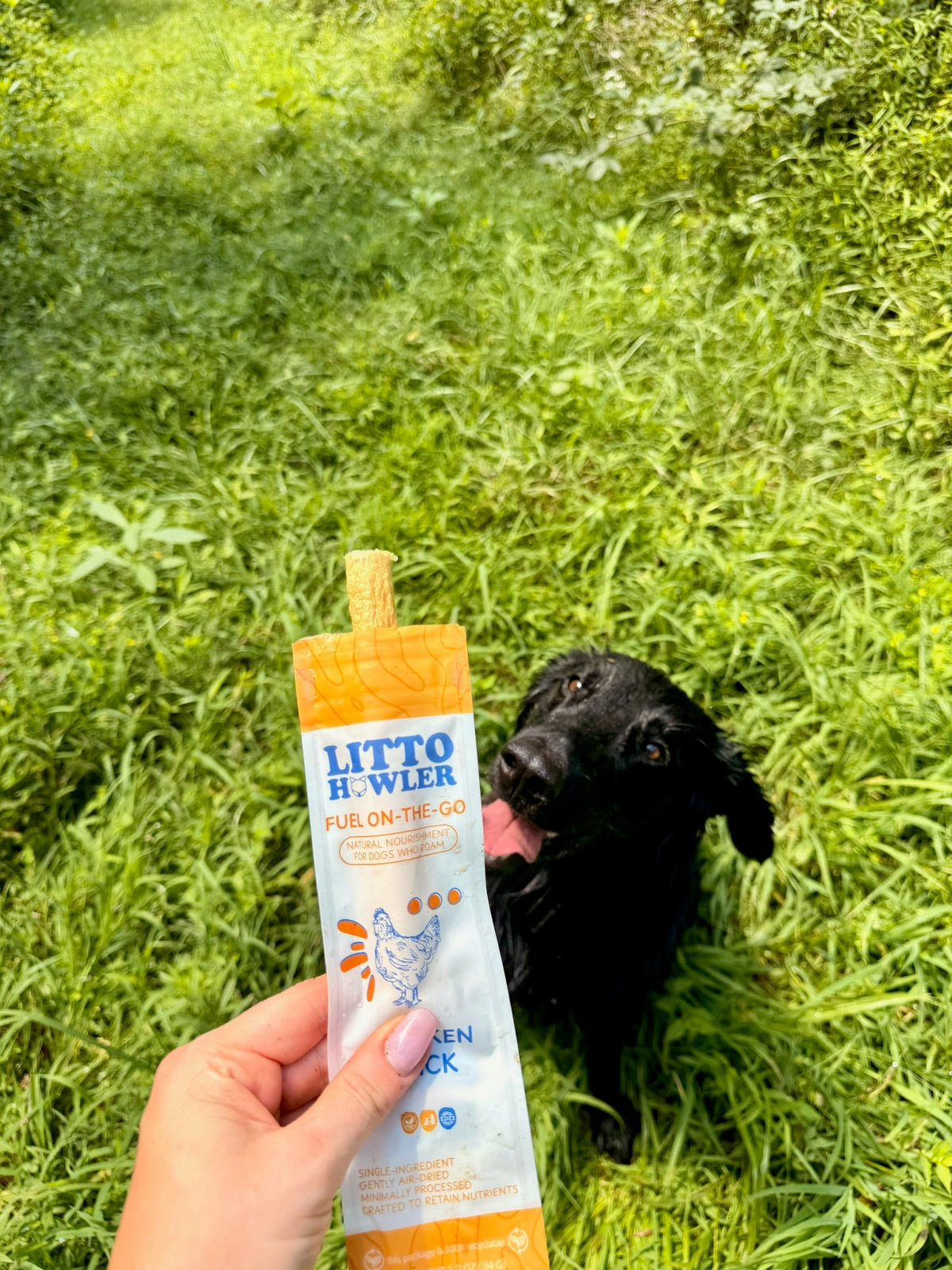 Litto Howler Chicken Stick held up in the grass with a black puppy