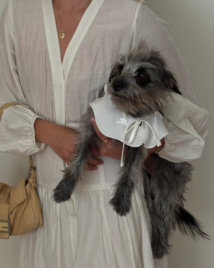 The Wanda Collar
