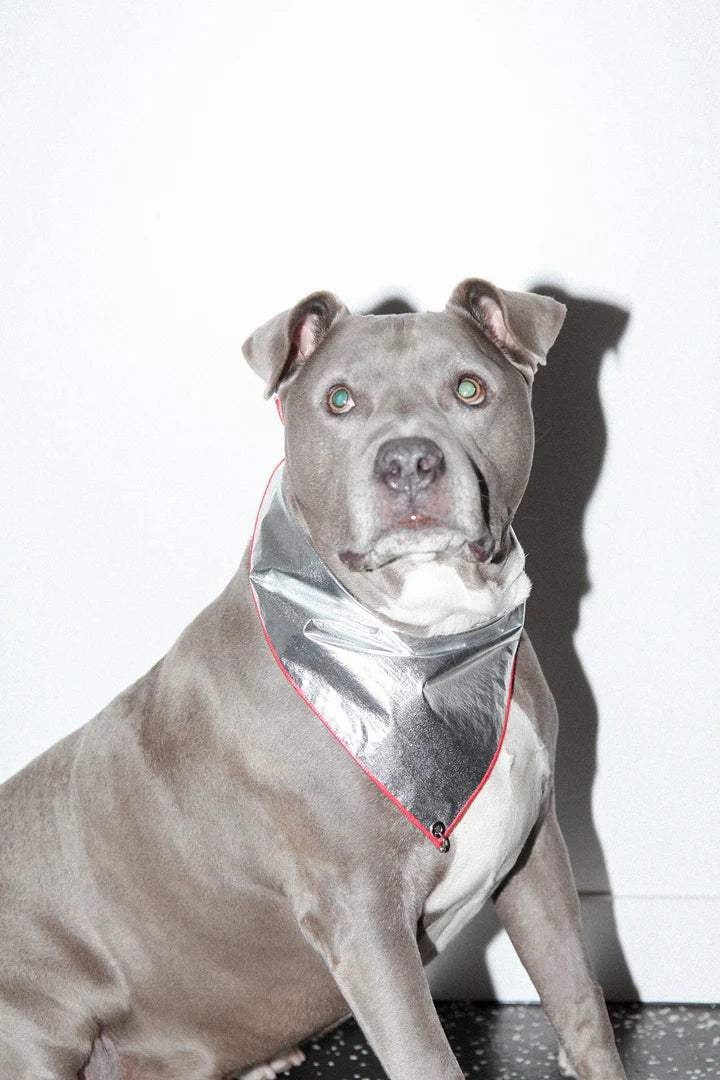 Pierced Bandana