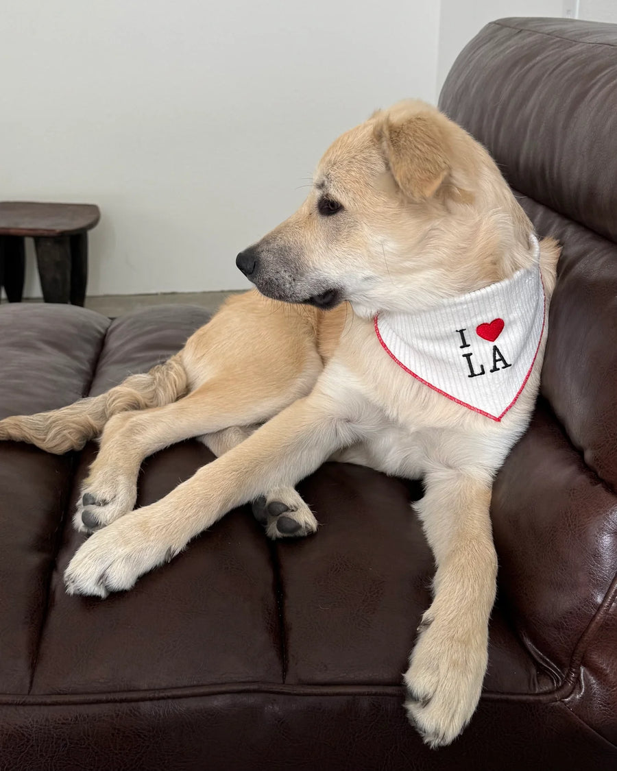 I ❤️ LA Bandana