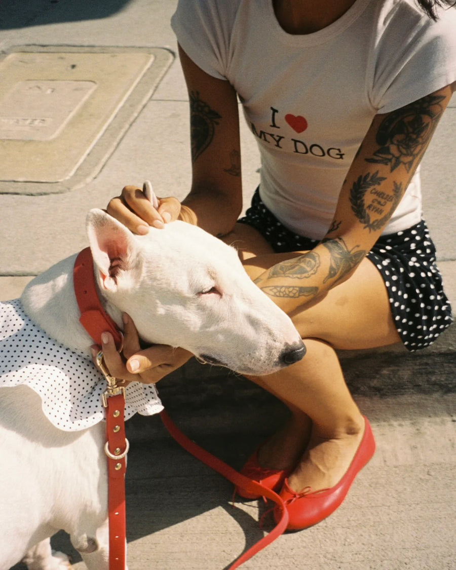 The Dog Pawrent Tee