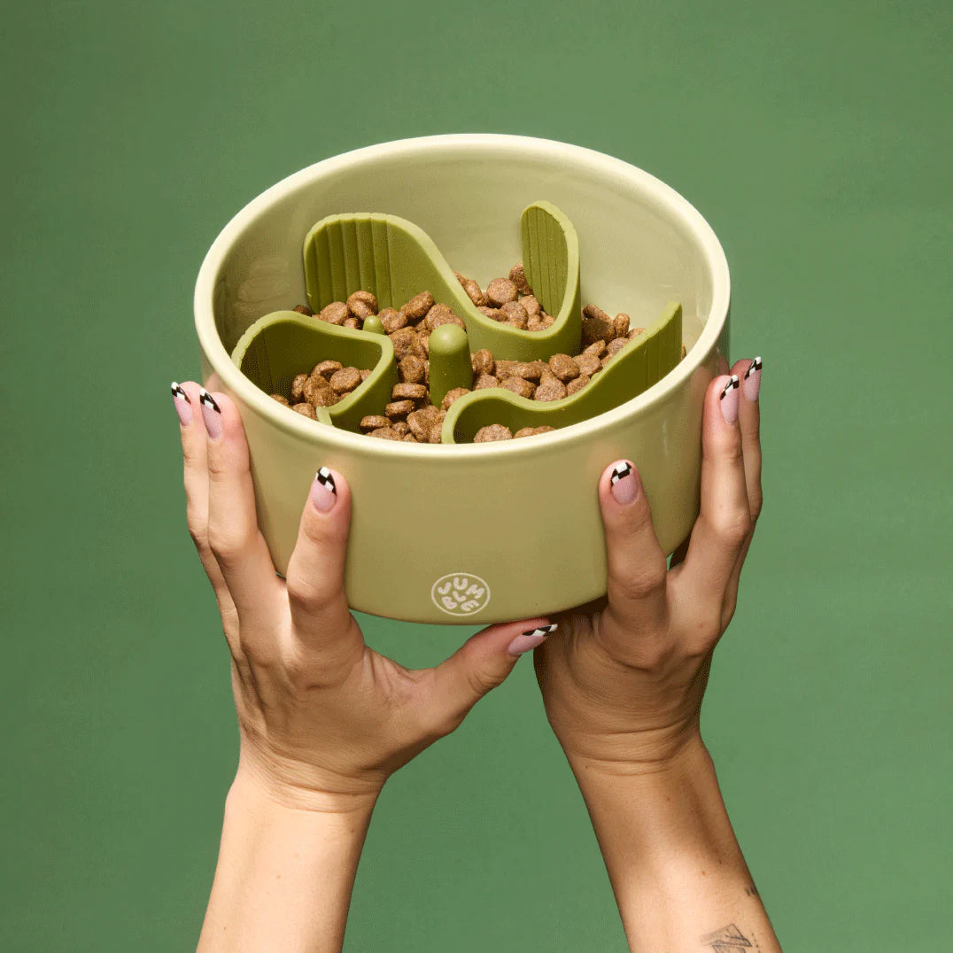 Munch Maze - Bowl + Insert