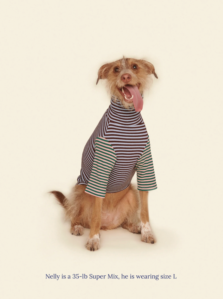 Super Mix dog wearing the Little Beast Earth and Sky Shirt in size L