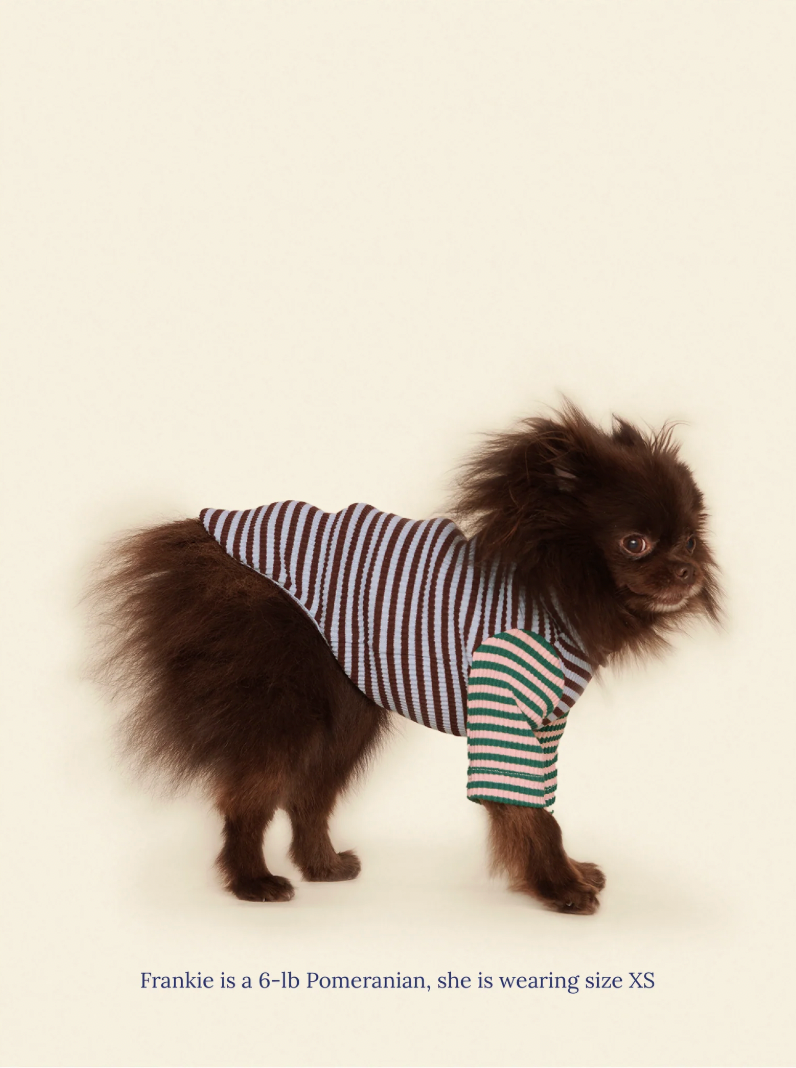 Dog wearing the Little Beast Earth and Sky Shirt