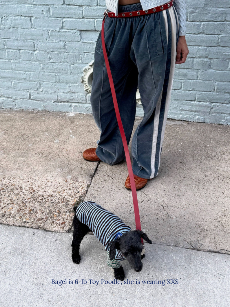 Dog wearing the Little Beast Earth and Sky Shirt