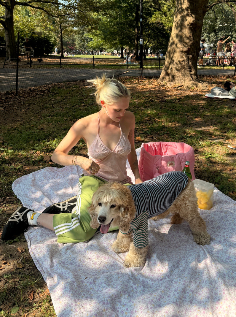 Dog wearing the Little Beast Earth and Sky Shirt