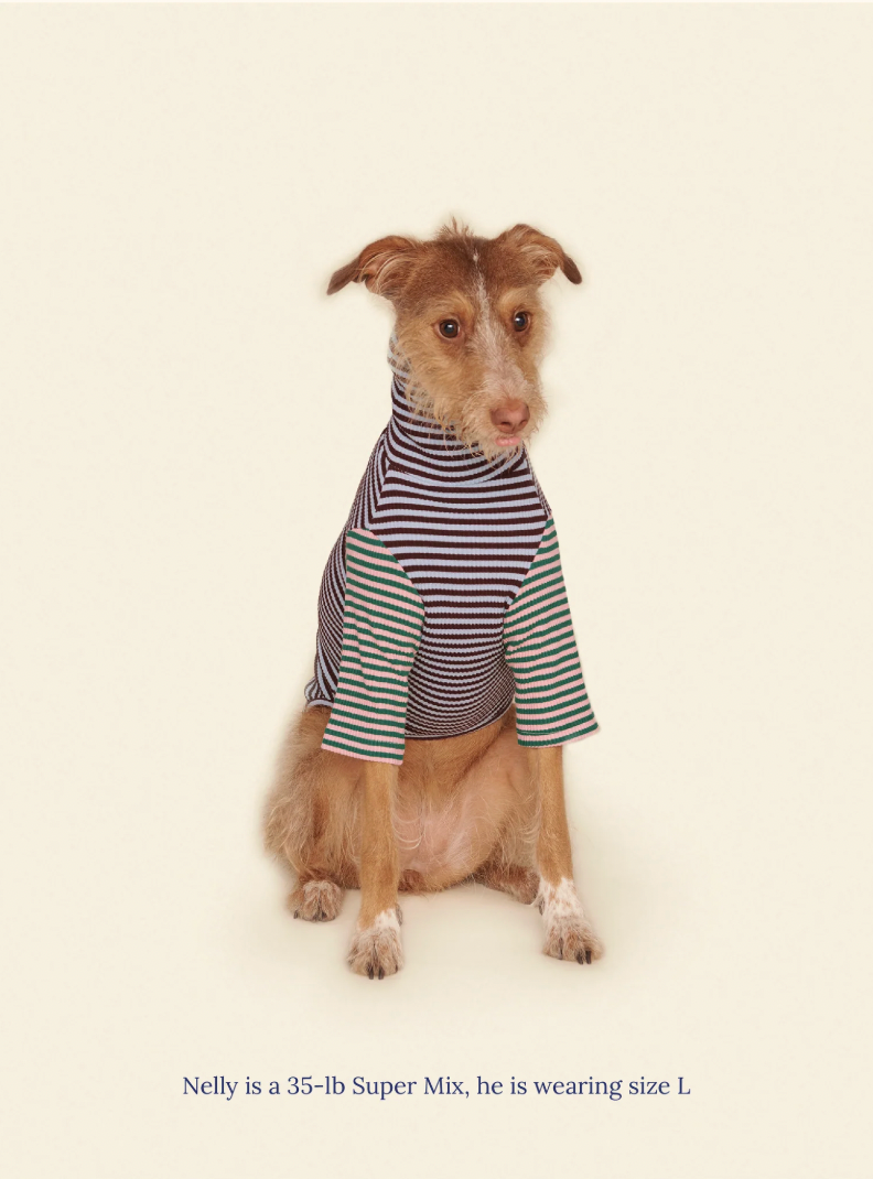 Dog wearing the Little Beast Earth and Sky Shirt