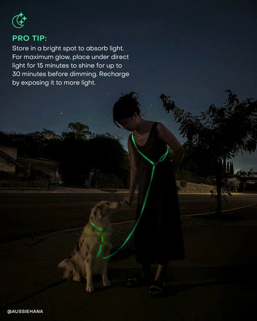 4-in-1 Convertible Hands Free Cloud Dog Leash