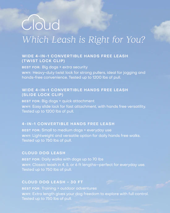 Waterproof Cloud Leash