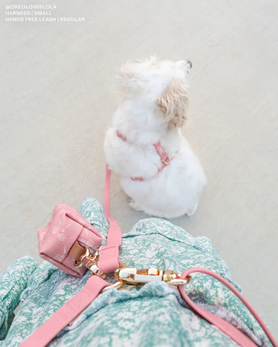 4-in-1 Convertible Hands Free Cloud Dog Leash