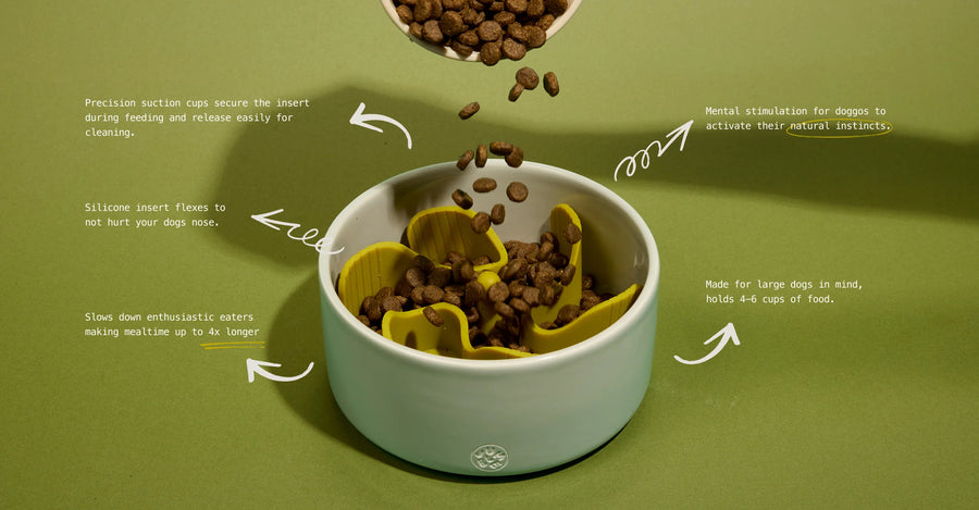 Slow Feeder Maze Insert