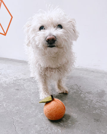 Doggy Peach