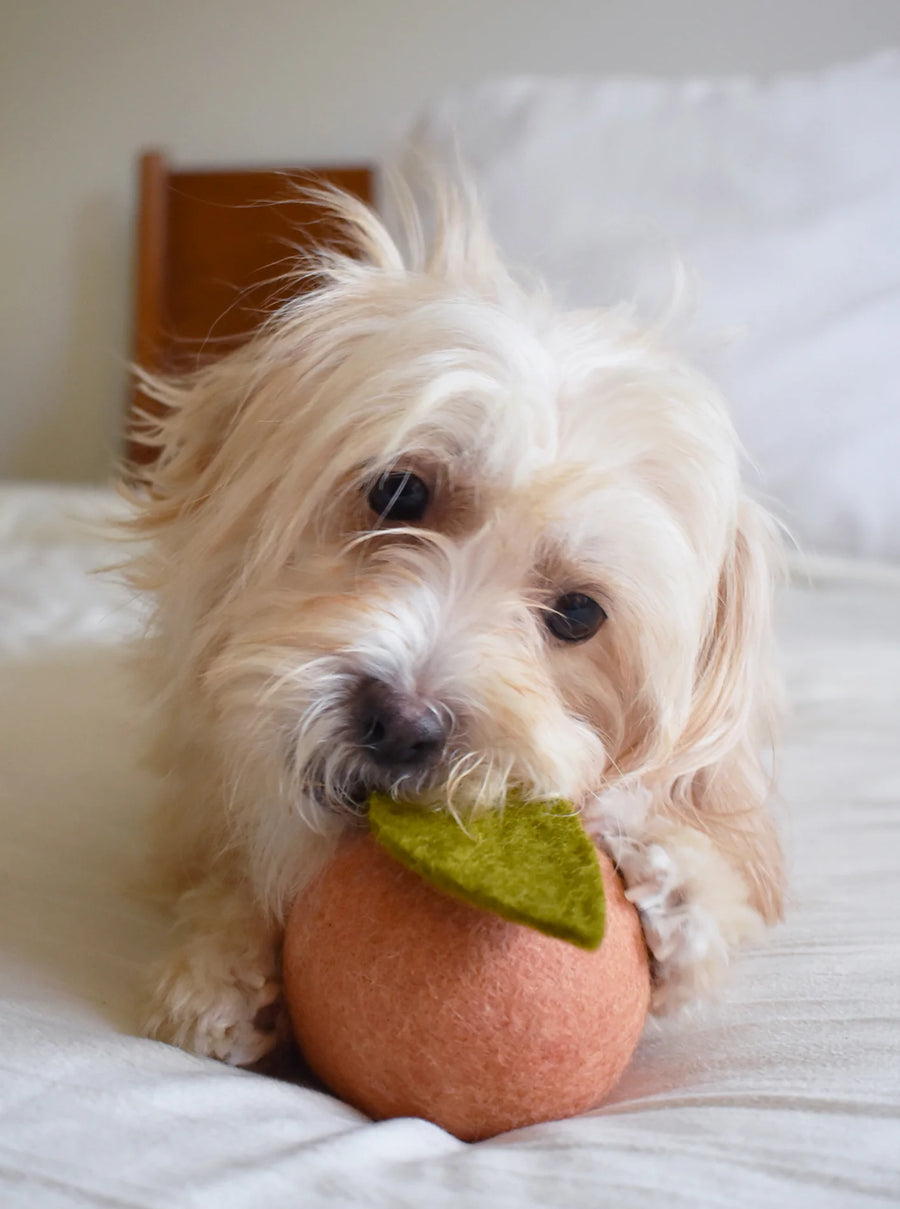 Doggy Peach