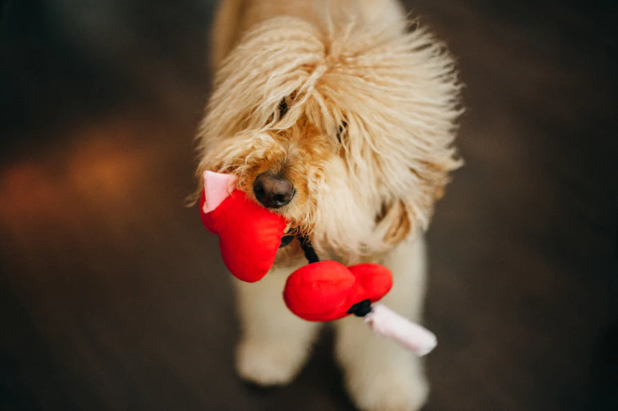 Puppy Love Collection Fur-Ever Hearts