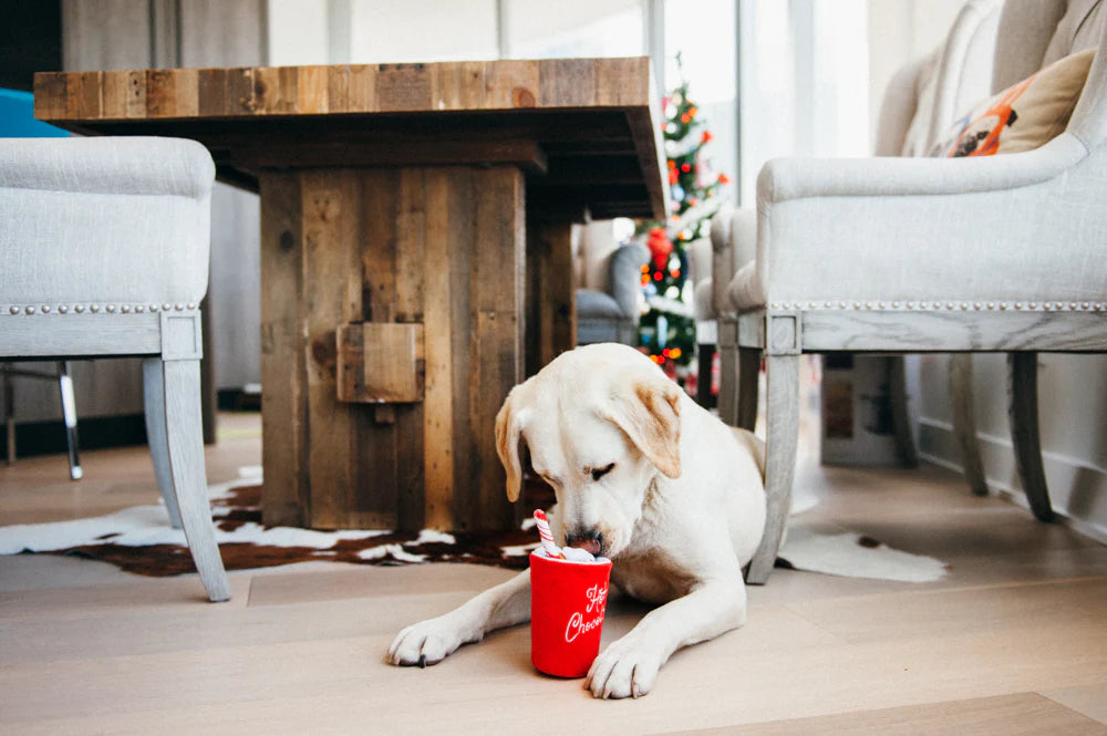 Holiday Classic - Hot Chocolate