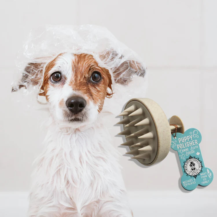 Puppy Polisher Eco Shampoo Brush