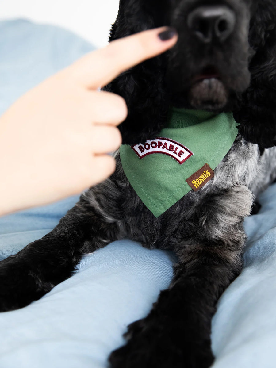 Boopable Iron-on Patch for Dogs and Cats