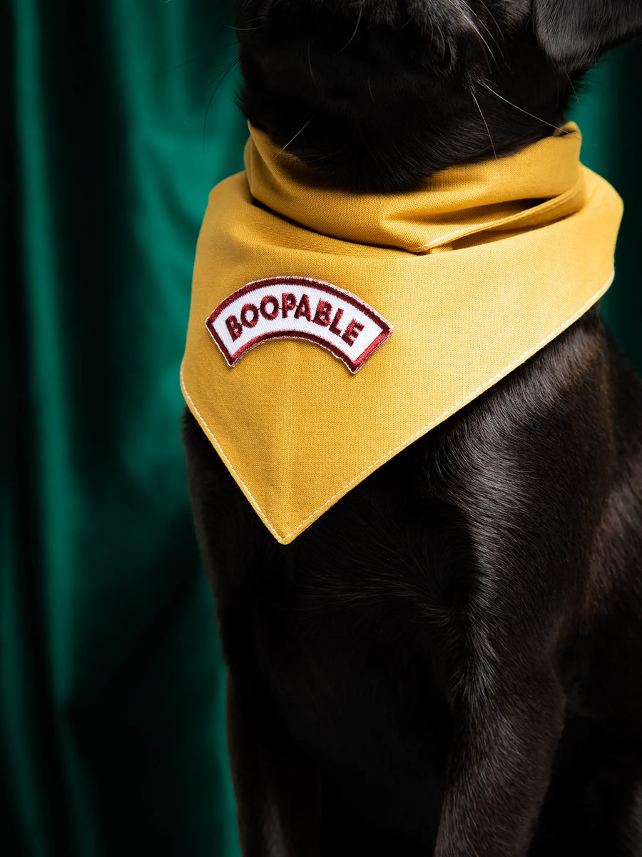Boopable Iron-on Patch for Dogs and Cats