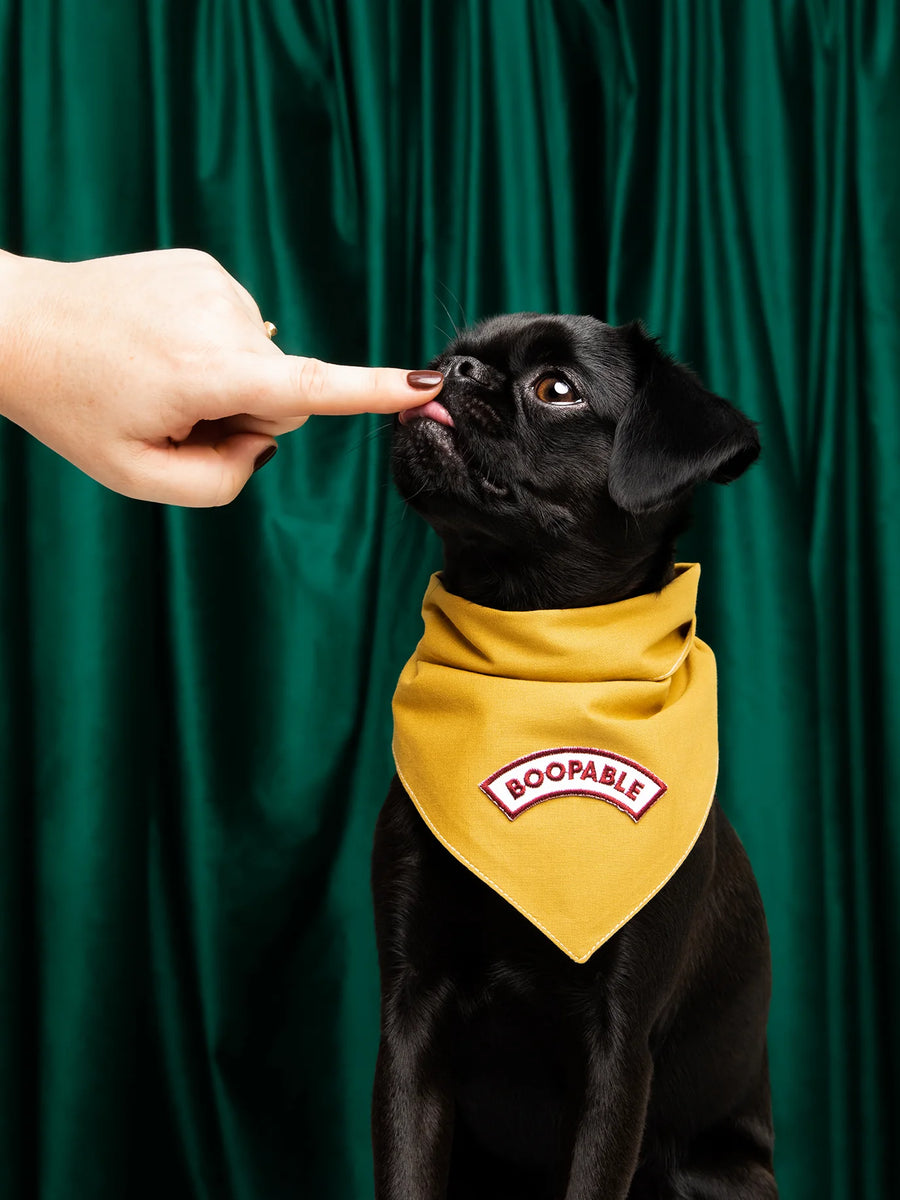 Boopable Iron-on Patch for Dogs and Cats