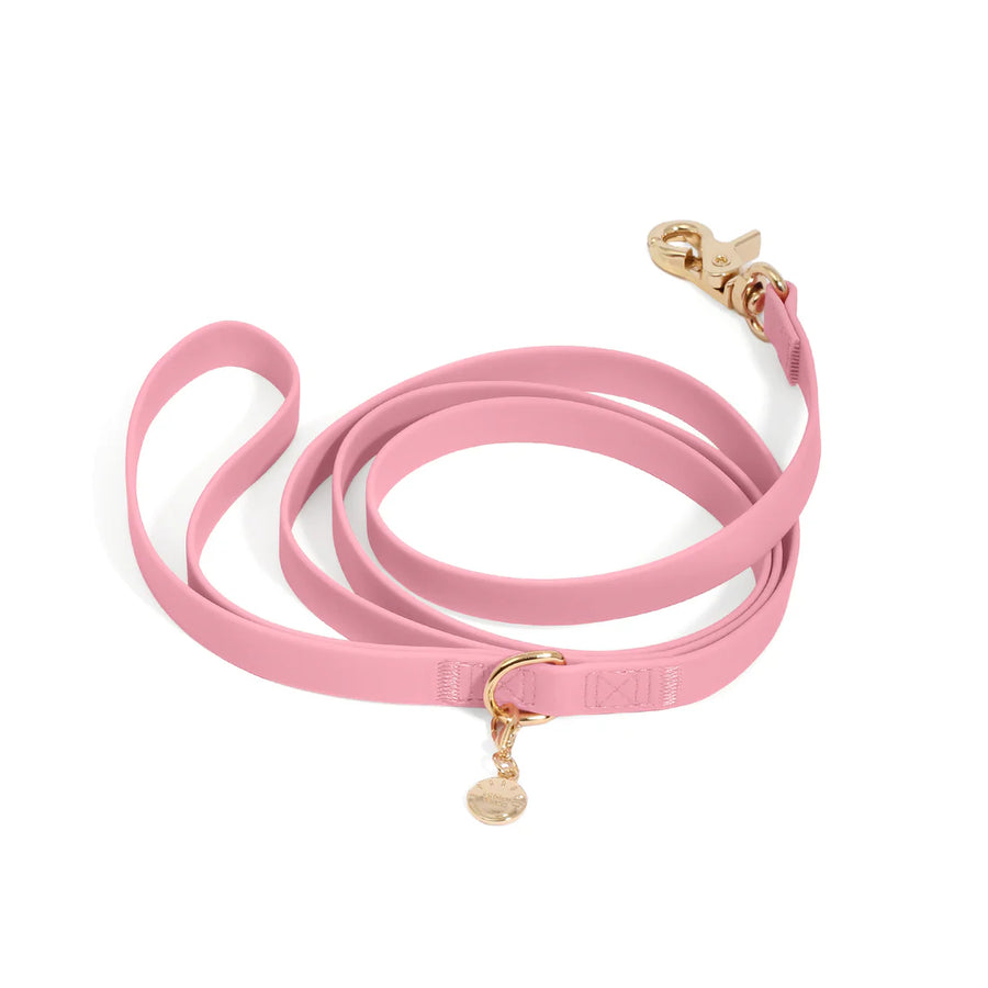 Waterproof Cloud Leash
