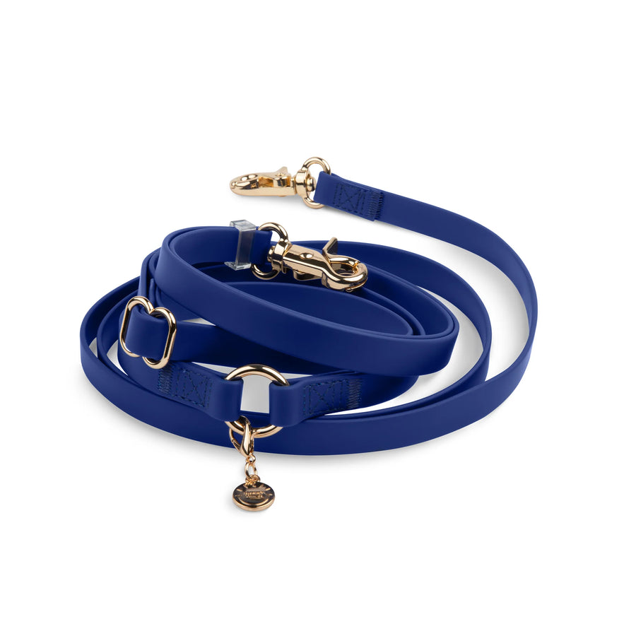 4-in-1 Convertible Hands Free Cloud Dog Leash