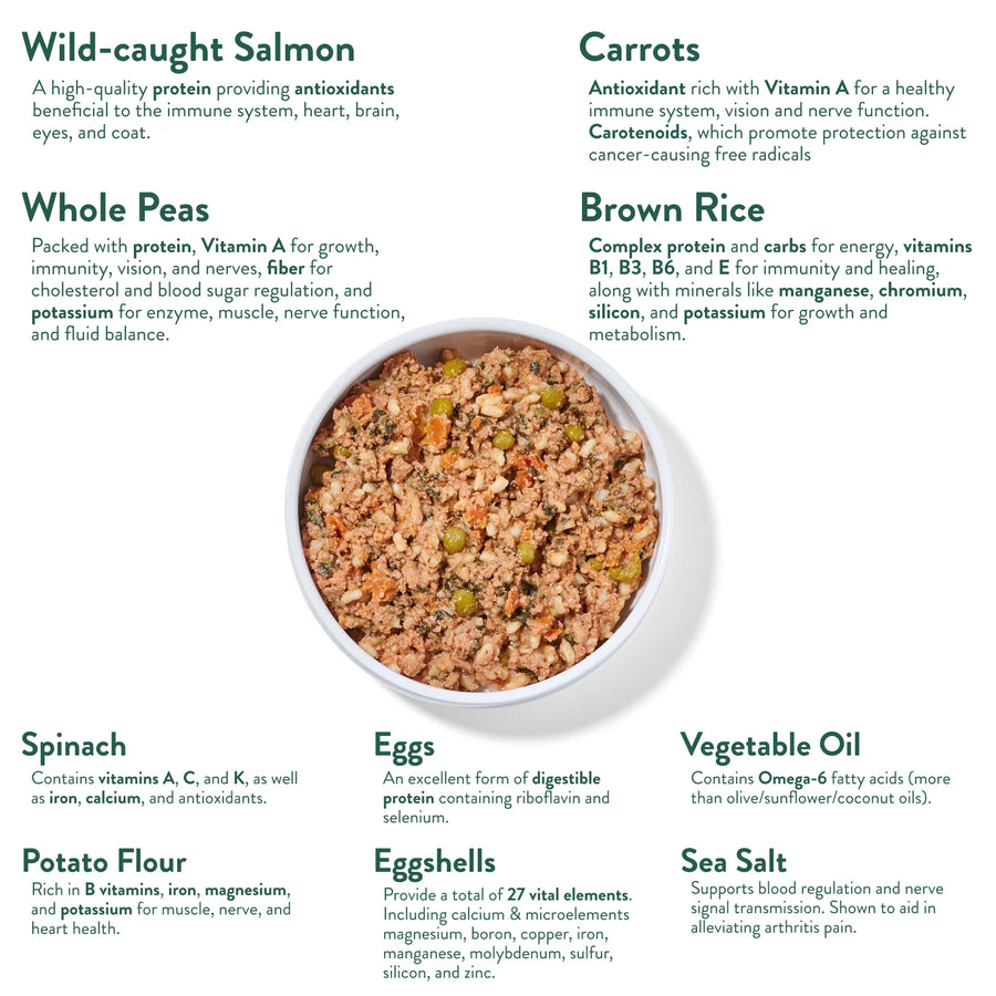 Wally's Salmon N' Rice Human Grade Fresh Wet Food Dog Pouch