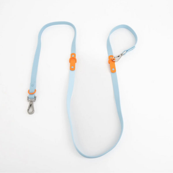 The Fritz Leash