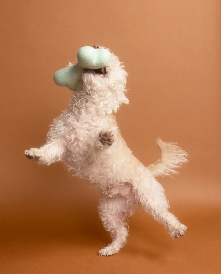 Neutral Woolbone Dog Toy