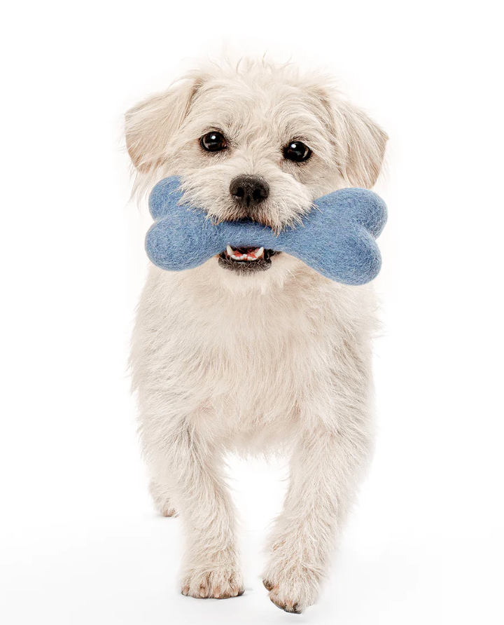 Neutral Woolbone Dog Toy