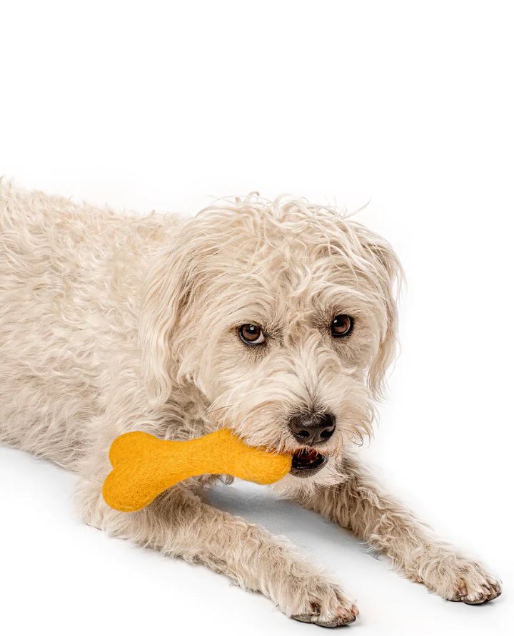 Neutral Woolbone Dog Toy