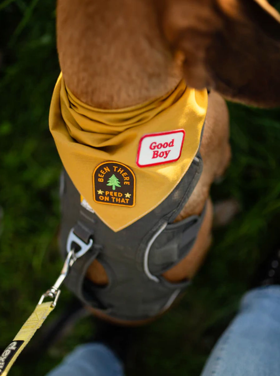 Been There Peed on That Iron-on Patch for Dogs and Cats