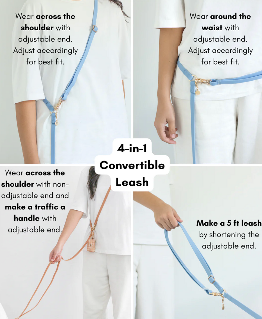 4-in-1 Convertible Hands Free Cloud Dog Leash