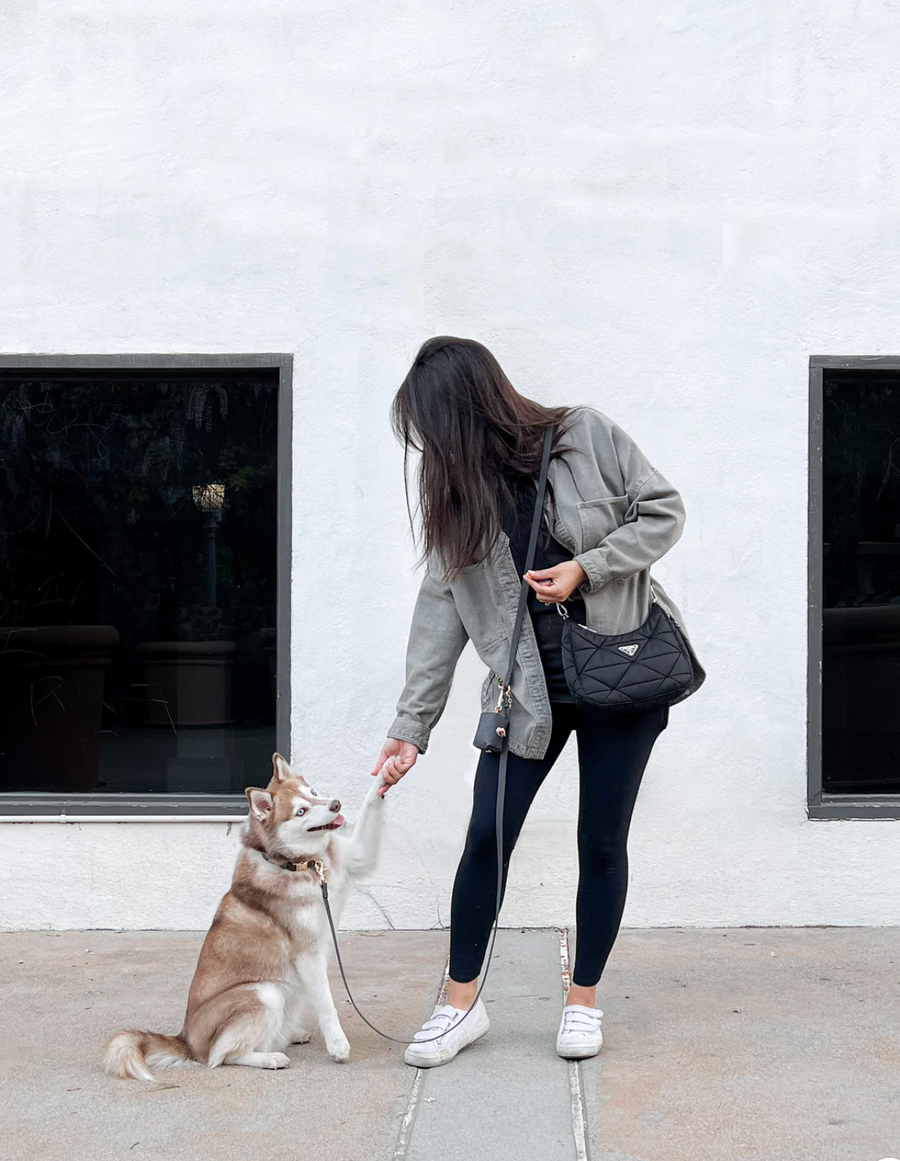 4-in-1 Convertible Hands Free Cloud Dog Leash