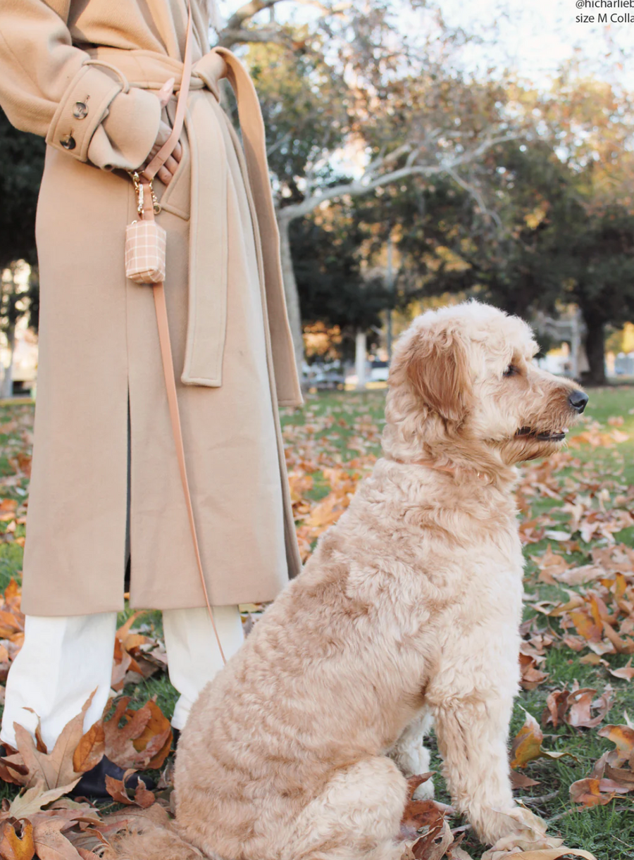 4-in-1 Convertible Hands Free Cloud Dog Leash