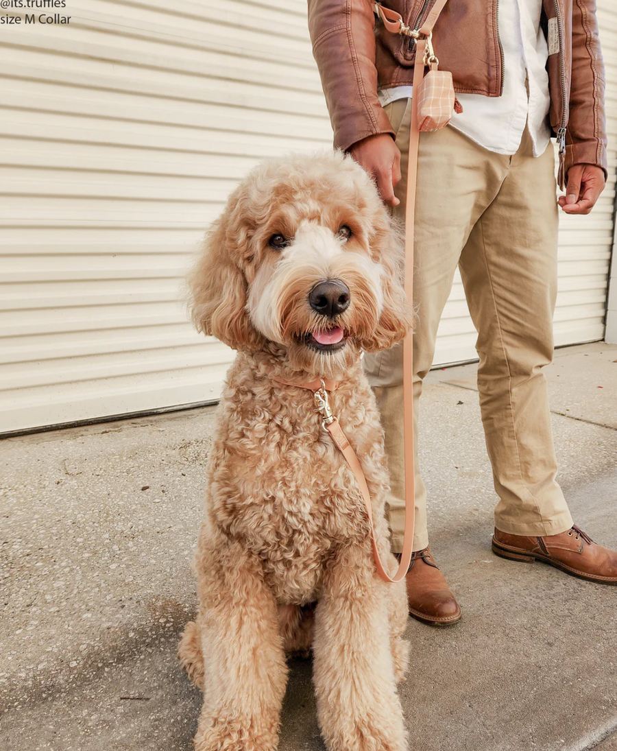 4-in-1 Convertible Hands Free Cloud Dog Leash