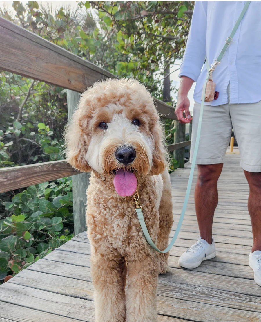 4-in-1 Convertible Hands Free Cloud Dog Leash