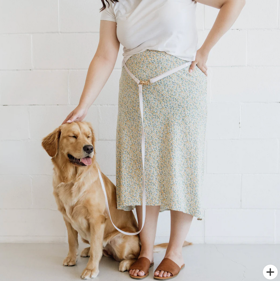 4-in-1 Convertible Hands Free Cloud Dog Leash