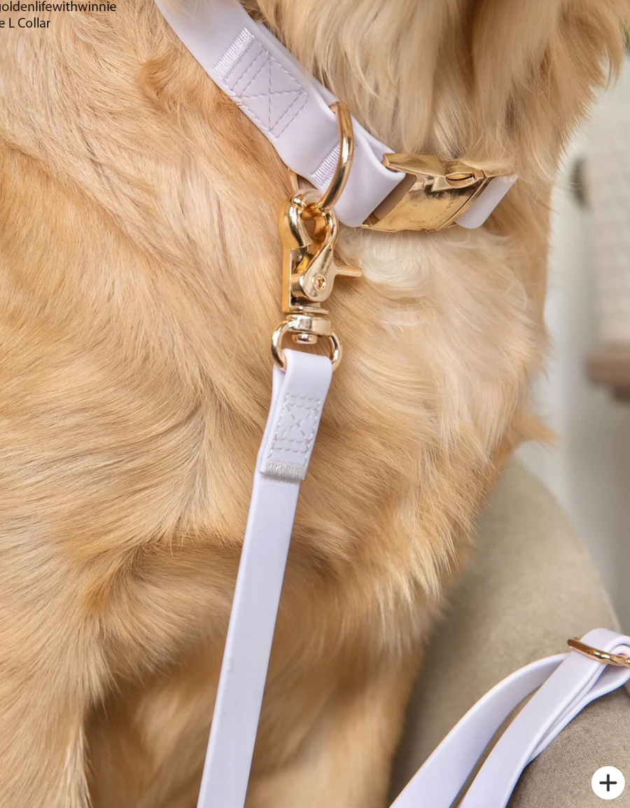4-in-1 Convertible Hands Free Cloud Dog Leash