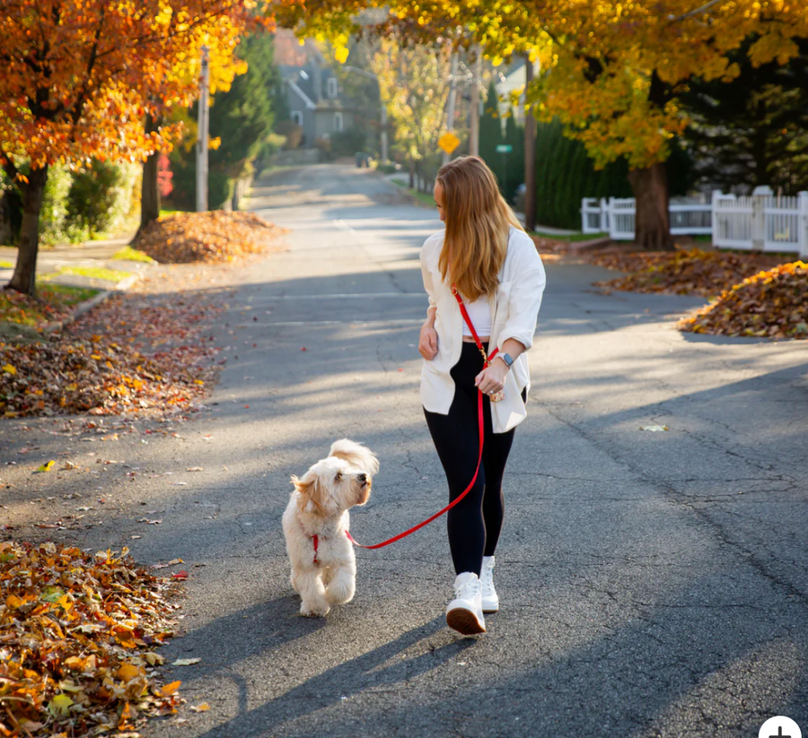 4-in-1 Convertible Hands Free Cloud Dog Leash