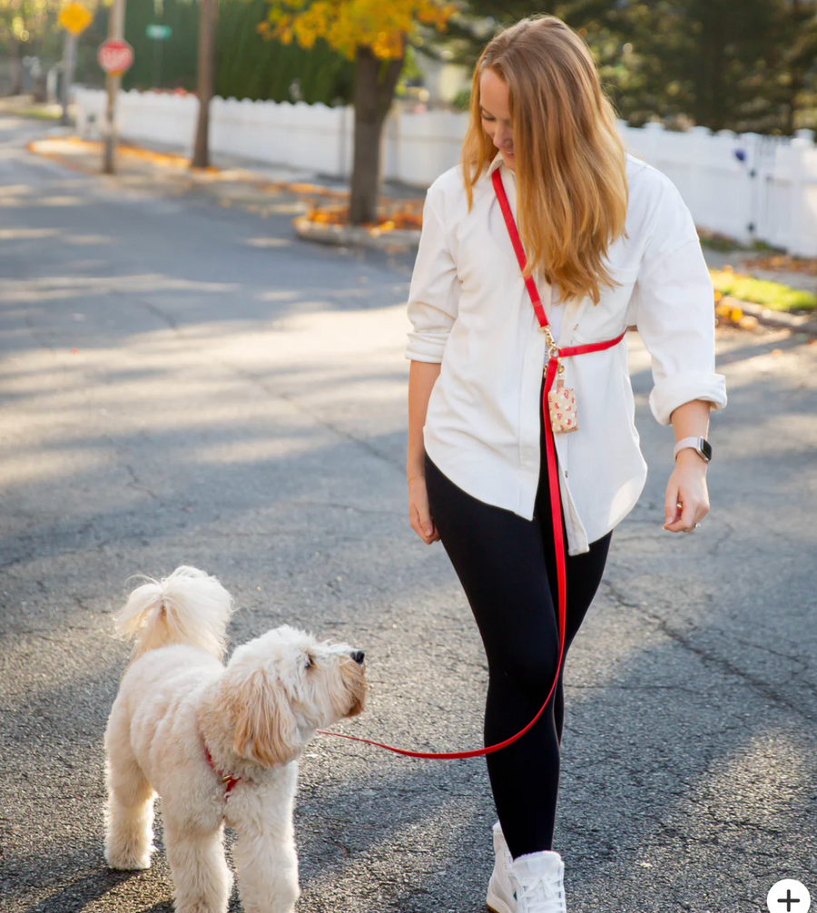 4-in-1 Convertible Hands Free Cloud Dog Leash