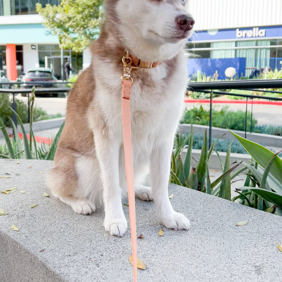 Waterproof Cloud Leash