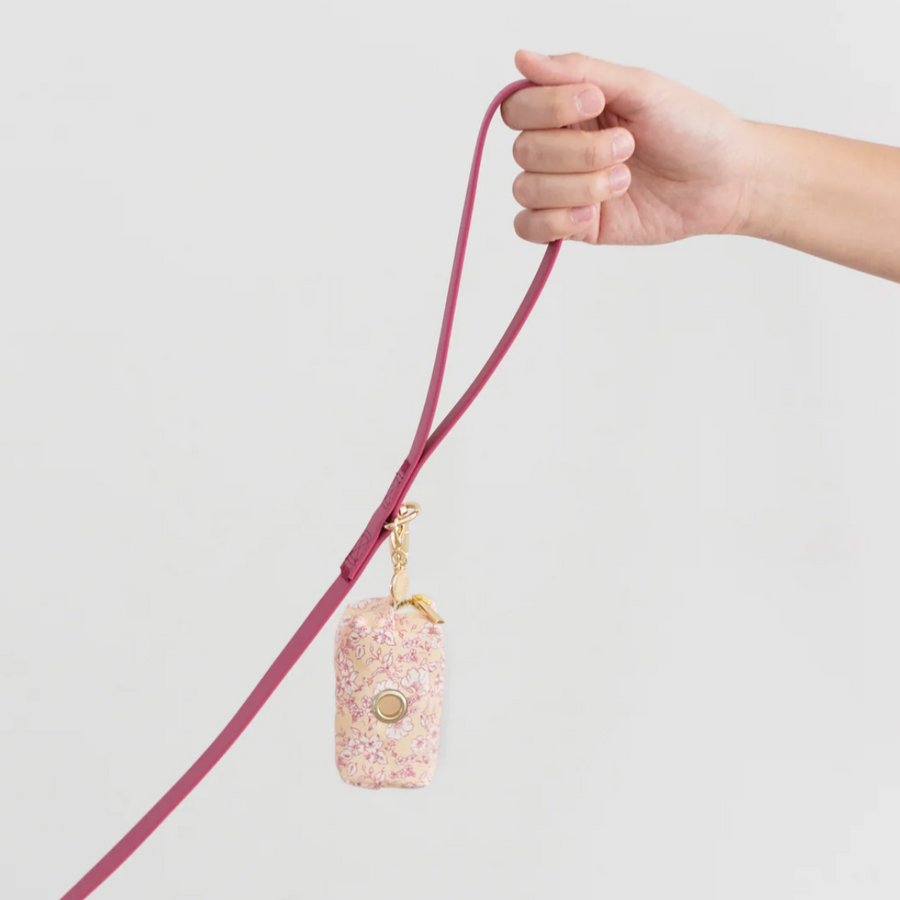Waterproof Cloud Leash